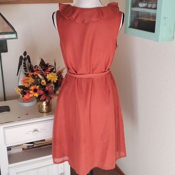Merona Persimmon Dress  - Picture 6 of 10